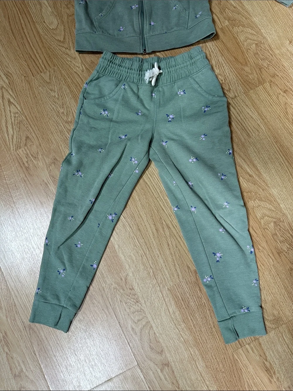 Catt and Jack set floral green sweatshirt hood zip up sweatpants 6